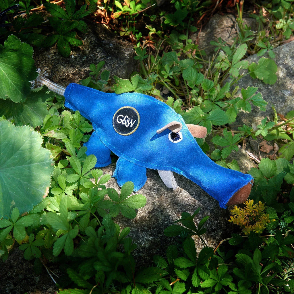 Dino the Dyno Fish Eco Dog Toy