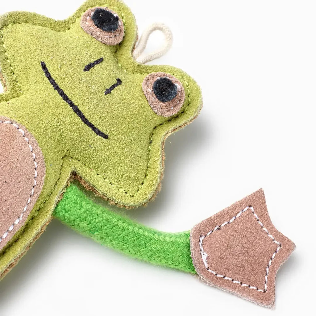 François Le Frog Eco Dog Toy