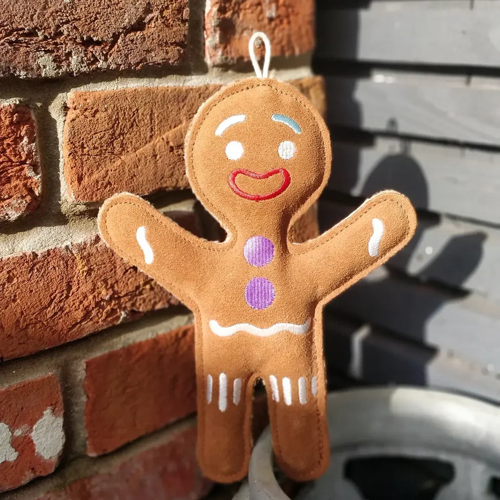 Jean Genie the Gingerbread Person Eco Dog Toy