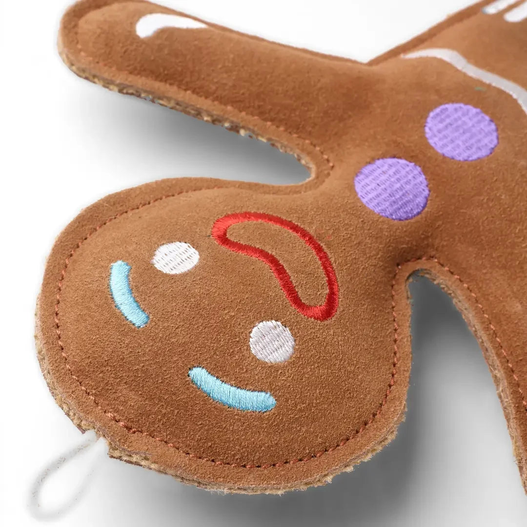 Jean Genie the Gingerbread Person Eco Dog Toy