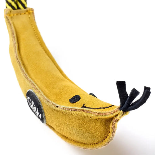 Barry the Banana Eco Dog Toy
